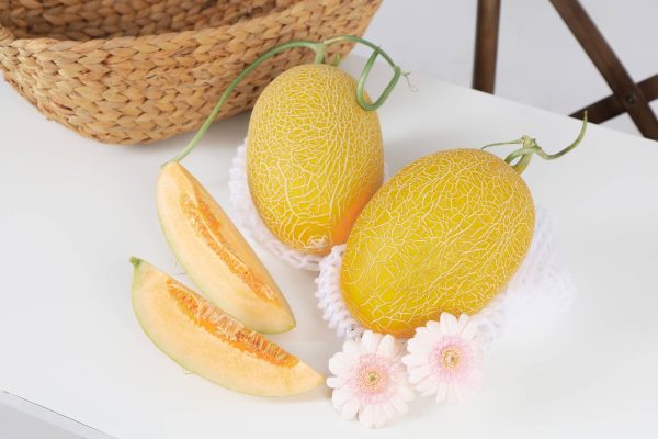 Dưa lưới